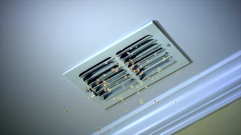 Best HVAC Maintenance and Cleaning  in Rmel Valley Village, CA